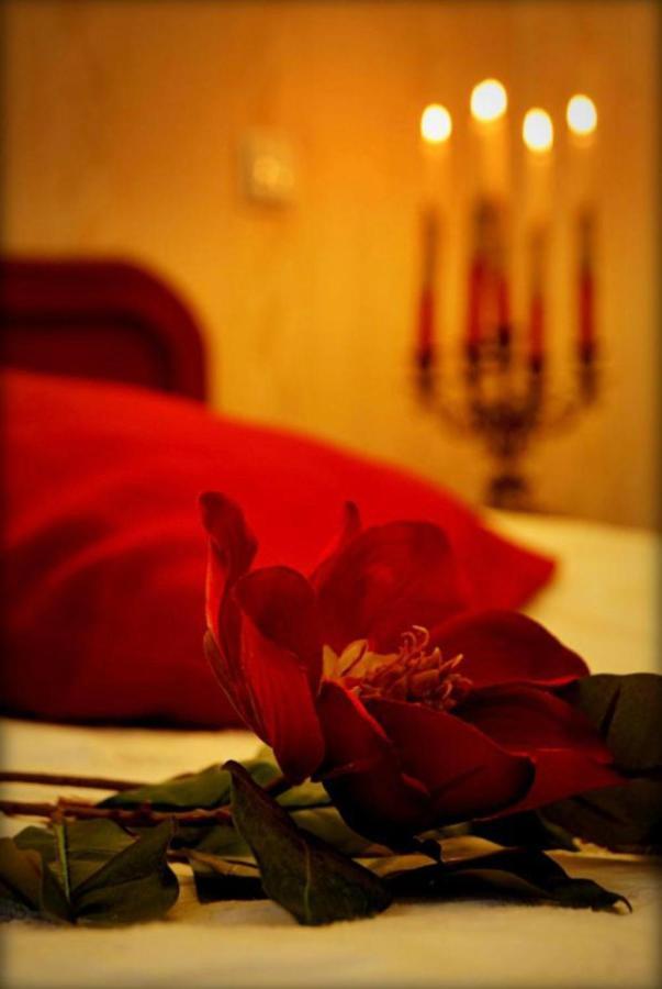 Hotel Zaodrze Opole Dış mekan fotoğraf